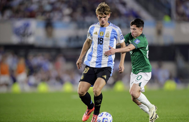 篮正在积极 篮正在积极