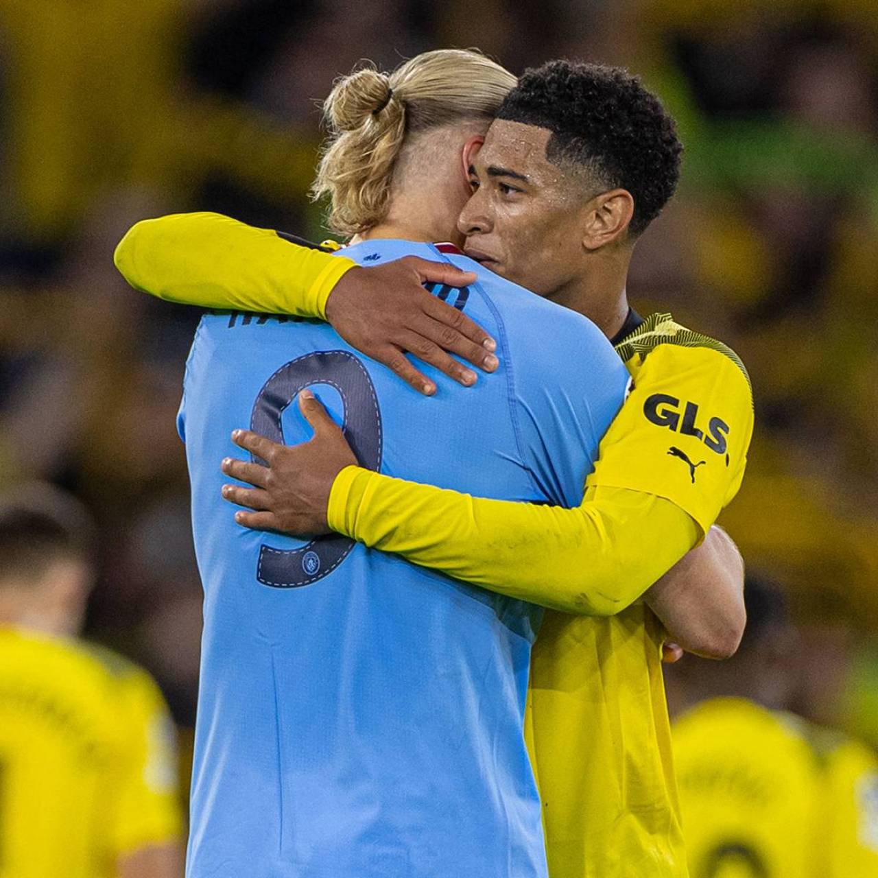 环境提示 环境提示