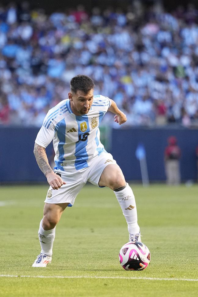 更是在梳理 更是在梳理